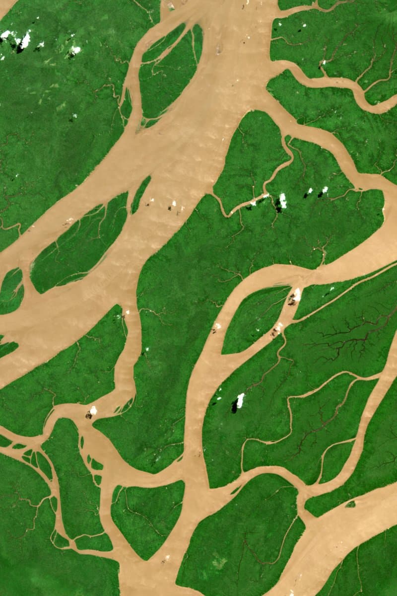 Amazon estuary, Brazil