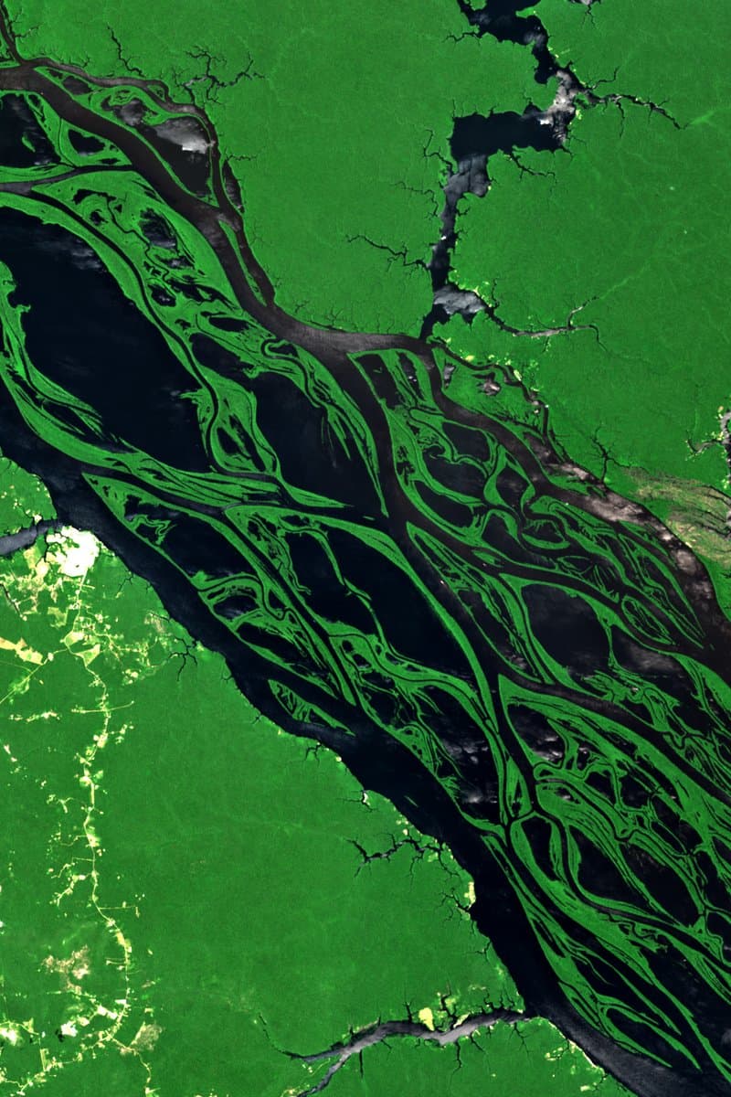 Anavilhanas Archipelago, Brazil